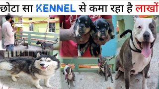 Dog kennel in Patna available Rottweiler puppy German shepherd puppy Siberian husky puppy all breed
