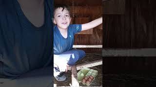 Farmer Jake Is Back With Eggs 55 Today In Total