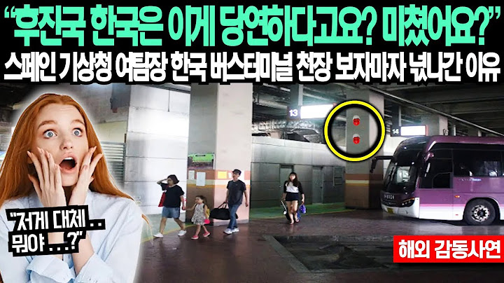 "후진국 한국은 이게 당연하다고요? 미쳤어요?" 스페인 기상청 팀장 한국 버스터미널 천장 보자마자 넋나간 이유