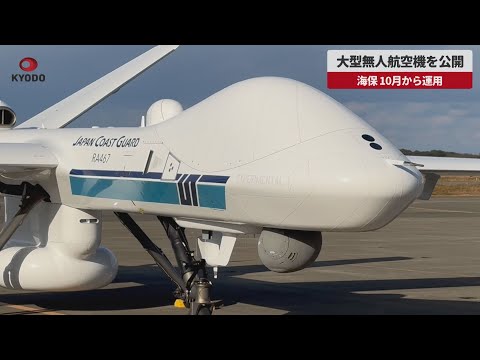 早い者勝ち 琉球ハト航空12BY縦ペアー発行年使用済 早い者勝ち