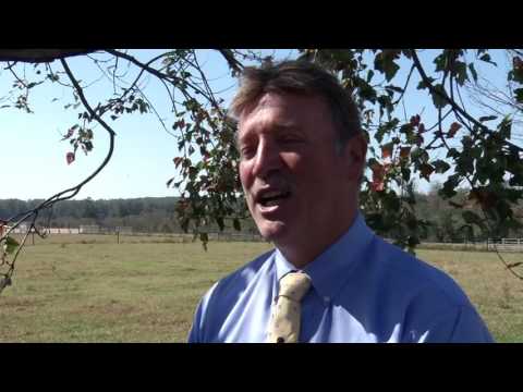 FSA Farm Land Programs