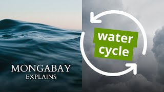 Why scientists say Earth’s water cycle is nearing breaking-point? #MongabayExplains