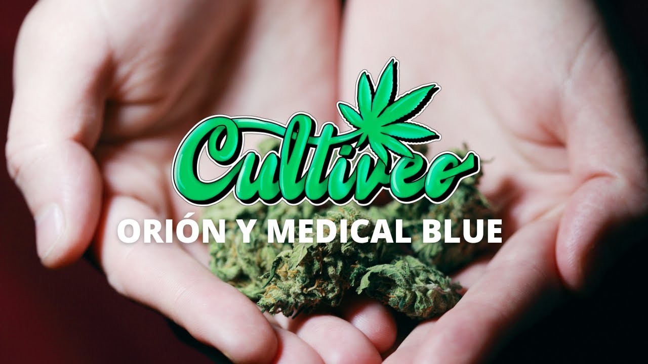 CULTIVEO ORION Y MEDICAL BLUE