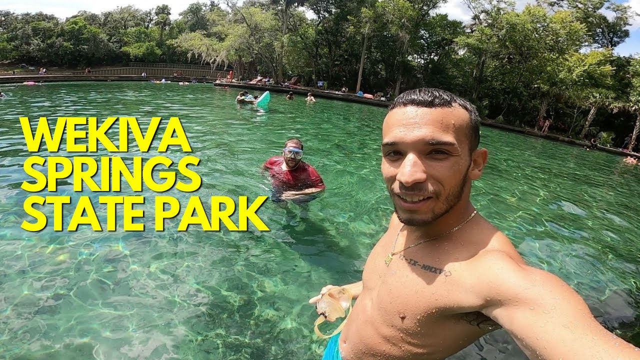 The Hidden Gem of Florida Wekiva Springs YouTube