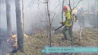 Новости за минуту.