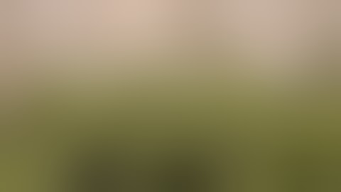 How to use a trellis net on n 3x3 grow tent