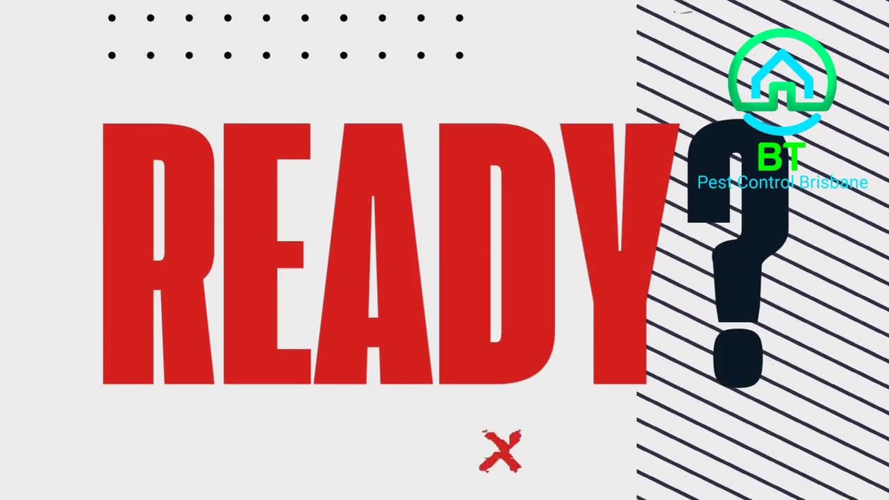 Flick pest control, Brisbane, fly pest control, pest control flies. Fly control Brisbane, spray 