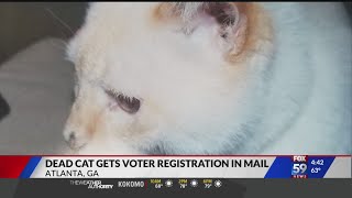 A couple in georgia found voter registration application their mail
addressed to cody tims — cat who died 12 years ago.