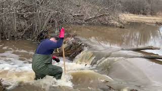 Removing an old beaver dam - 2024-04-06