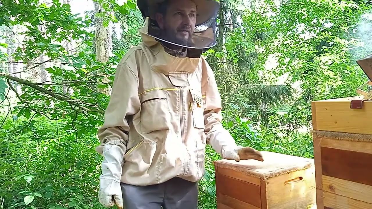 Kontrola usazených rojů