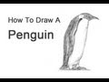 How to Draw an Emperor Penguin