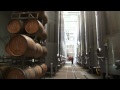 DocuStory.tv: How Wine is Made?