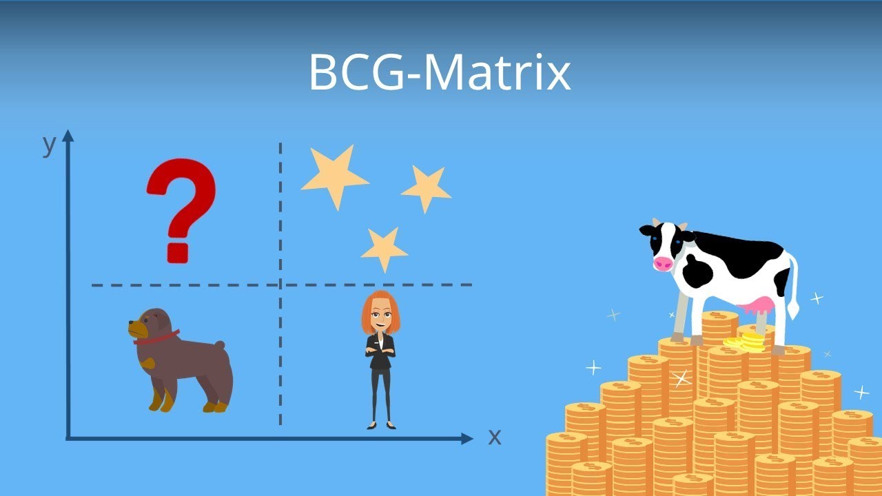 Die g Matrix Portfolioanalyse Erklarung Und Beispiel Youtube