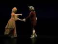 Allemande  how to dance through time vol 4 the elegance of baroque social dance