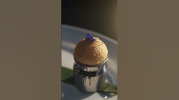 Discover the new menu and book your table today!