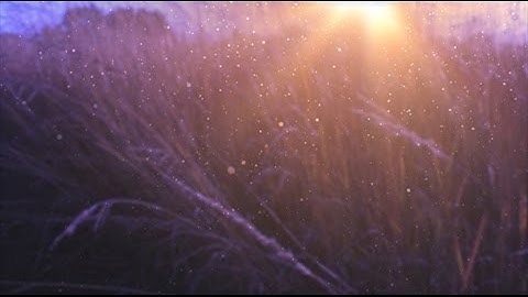 Motionbolt.com - Fall Field