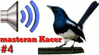 Masteran Kacer Terbaru 2019 Gacor Untuk Isian