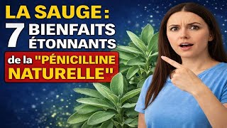 Download lagu 7 Powerful Benefits of Sage, the Natural Penicillin