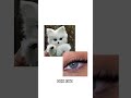 What type of animal Eyes do you have👀🌟#aesthetics #viralreels #viralshort #fypシ゚viral #eyes