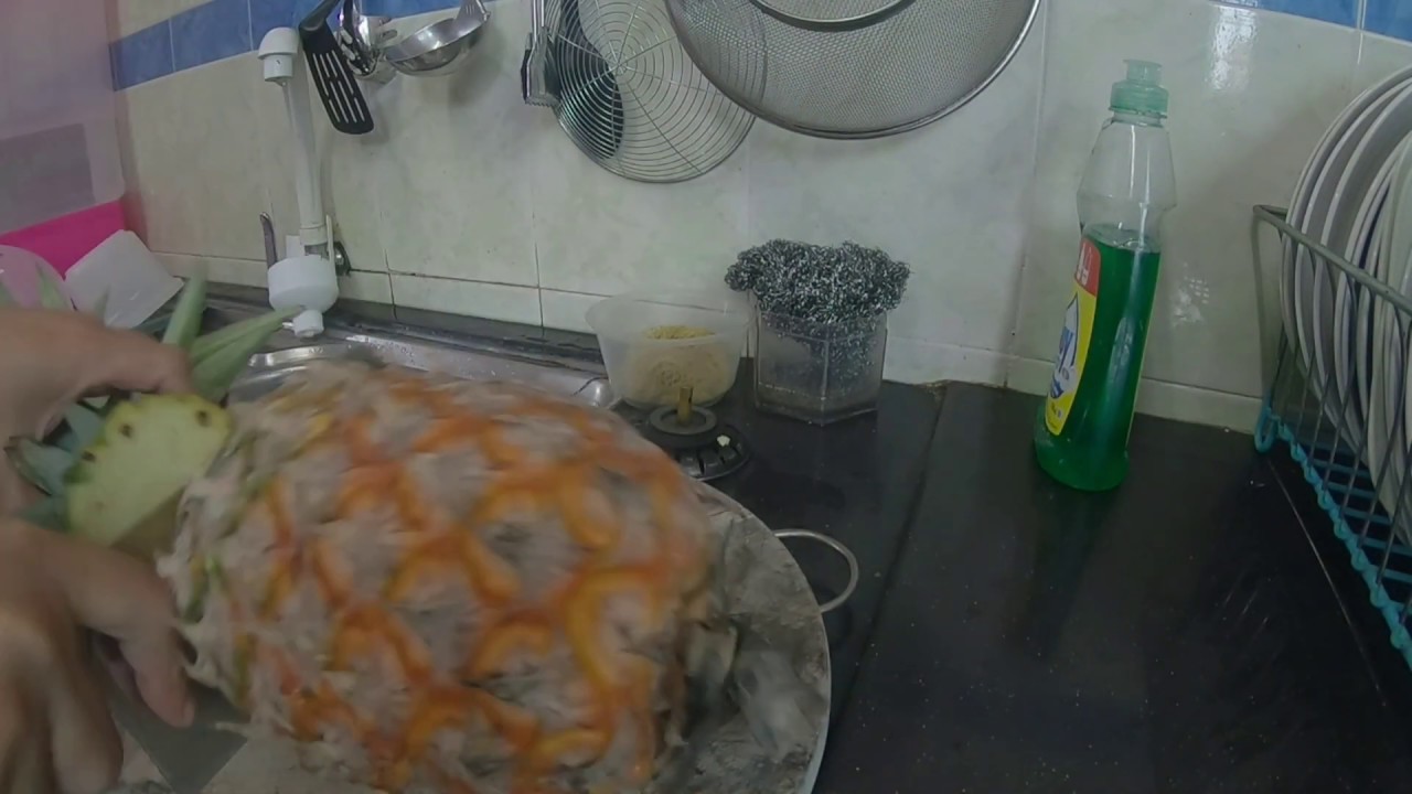 who lives in a pineapple under the sea??? YouTube
