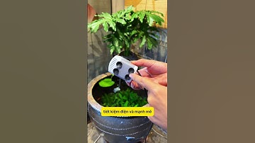 Bể Cá Sạch, Nước Lưu Chảy Liên Tục Nhờ Máy Bơm Thủy Sinh Đỉnh Cao!💧✨ #notashopvn #tuanaquarium #fish