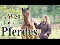 Der Weg des Pferdes - Dokumentarfilm - Deutsch Untertitel