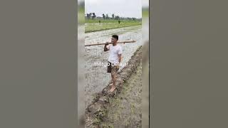 andap asor   lirik lagu