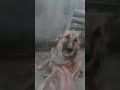 #funny