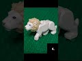 10 BEST Lego Animals Lego Shorts Animals 