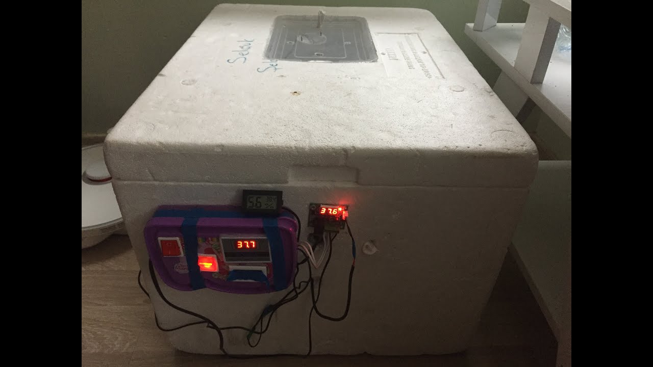 KULUÇKA Makinesi yapımı.Kaz Yumurtası Soğutma İşlemi  ve (Döl) Civciv Kontrolü