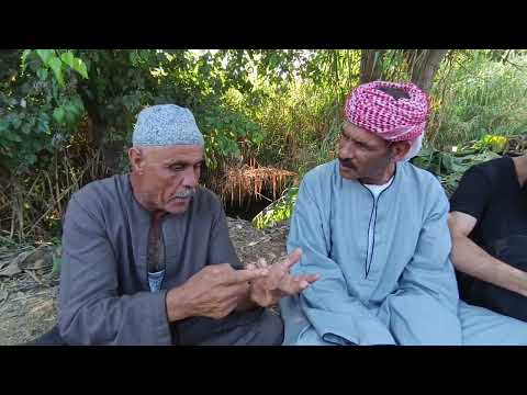 وحيد وعبد الرحمن رايحين يعزو عم عبوده مش هقدر تمسك نفسك من الضحك