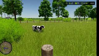 FS 25 MP | Gnadenthal | PF 3.0 | some field work and Spinach harvest #9