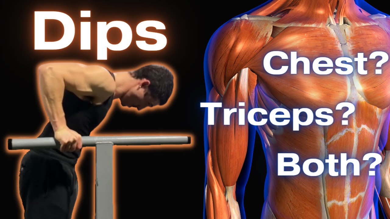 One Cue to Bias Chest or Triceps for Dips YouTube