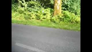 Uf der Strass daniele gregorini bern