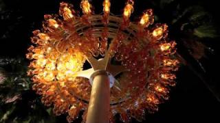 Animal tree2.mov
