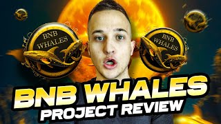 BEST PROJECT EVER!  BNB Whales  INCOMING 1000x PROFIT! 