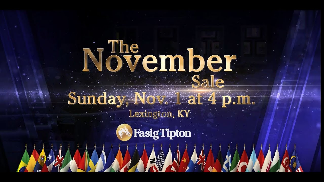 FasigTipton November Sale Stars Set to Shine After the Breeders' Cup