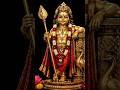 🔱 அருள்மிகு பால முருகன் – தெய்வீக சிலை அழகு #murugan #devotional #muruganstatus #lordmurugan