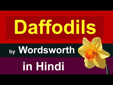 Daffodils by William Wordsworth in Hindi | i wandered lonely as a cloud in hindi