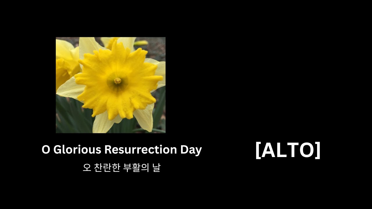부활 특송 ㅣ오 찬란한 부활의 날 ㅣO GLORIOUS RESURRECTION DAY [ALTO] ㅣ파트연습 - YouTube