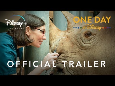 One Day at Disney | Official Trailer | Disney+ | Start Streaming Now