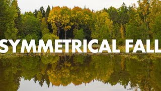 Symmetrical Fall Photography (Photo Walk)
