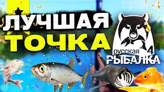 РР4 ЭТО ПРОСТО СУПЕР ТОЧКА для НОВИЧКОВ! 3 РЕКОРДА в 1 СЕРИИ!!! - 11 