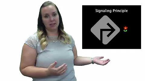 Principles for Reducing Extraneous Cognitive Processes in Multimedia Learning