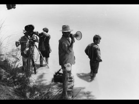 Rosy-Fingered Dawn: a Film on Terrence Malick (2002)
