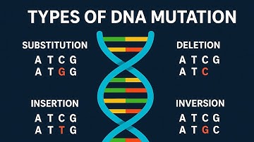 DNA, Genes, Chromosomes, Proteins & Mutations Explained! This Tiny Mistake Can Change EVERYTHING! 😱🧬