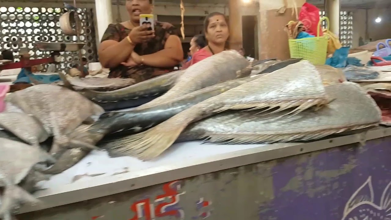 Big Fish market in Mumbai (4K) YouTube