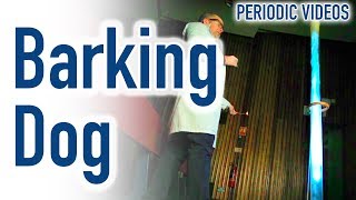 Video Thumbnail for Barking Dog (slow motion) - Periodic Table of Videos