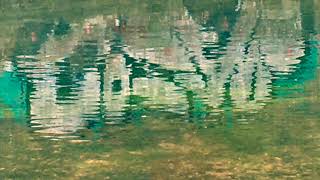 Stour Meander In a Heatwave | Hambrook Marshes, Canterbury, Kent | Film Poem | Short