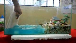 Maquete Tsunami  -  Feira de Ciências